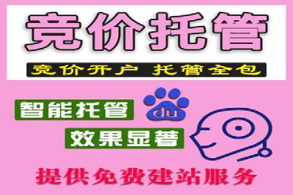 从零到一：企业如何通过百度竞价实现快速增长？——以某公司为例